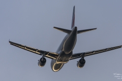 ACE_6825-Airbus A319-111 - Air France F-GRHN