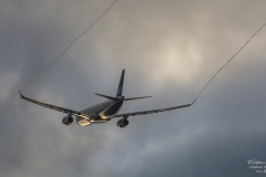 ACE_6863-Airbus A330-343E - SAS LN-RKU