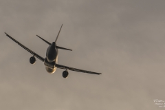 ACE_7085-Airbus A320-211 - Lufthansa D-AIQU