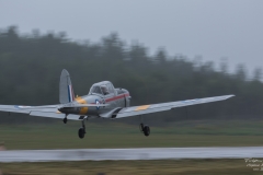 Chipmunk - de Havilland Canada DHC-1 (SE-XKU) - TBE_1193