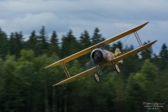 Mikael Carlsson in Tummelisa