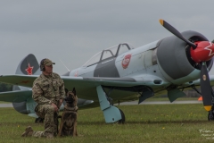 Dog - Yakovlev Yak-3