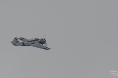 TBE_3970-Yak-52 (SE-LXM)