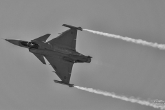 Jas 39 Gripen