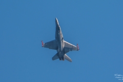 McDonnell Douglas F/A-18 Hornet