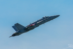 McDonnell Douglas F/A-18 Hornet