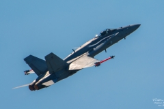 McDonnell Douglas F/A-18 Hornet