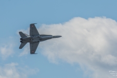 McDonnell Douglas F:A-18 Hornet