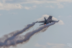 General Dynamics F-16 Fighting Falcon