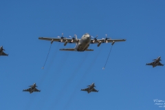 Lockheed C-130 Hercules & Jas 39 Gripen