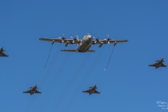 Lockheed C-130 Hercules & Jas 39 Gripen