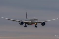 Boeing 787-8 Dreamliner - Qatar Airways Flight QR177 (A7-BCA) - TBE_3375