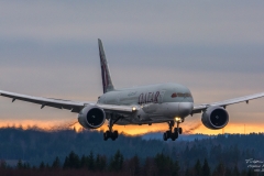 Boeing 787-8 Dreamliner - Qatar Airways Flight QR177 (A7-BCA) - TBE_3383