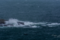 Rough wind Marstrand