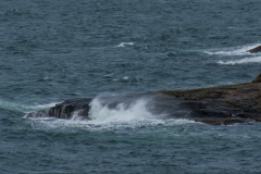 Rough wind Marstrand